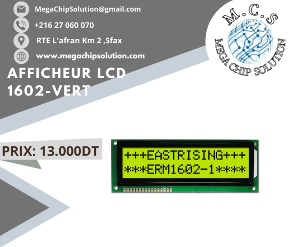Afficheur LCD 1602-VERT (16 X 2)