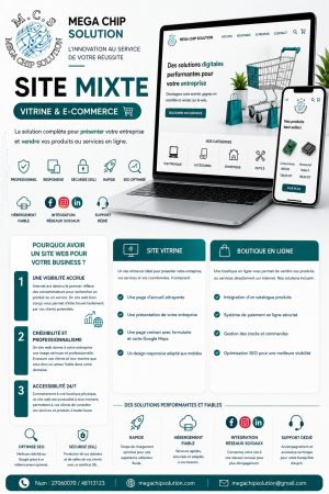 Site Web Mixte ( Vitrine & E-commerce )